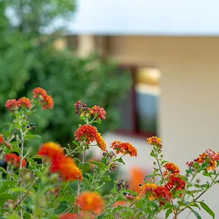 Apartament Angela Pefkos *