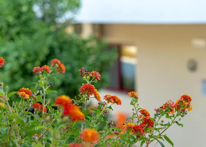 Διαμέρισμα Angela Pefkos *